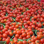 Tomatoes importation