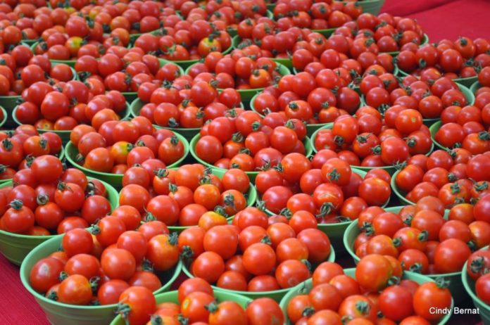 Tomatoes importation